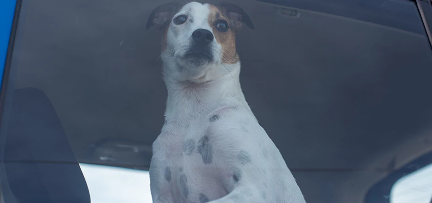 Car Lockout Solutions in Cudahy, California