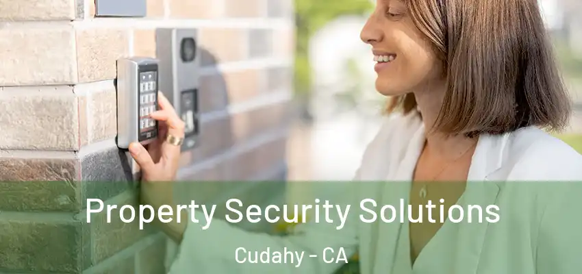  Property Security Solutions Cudahy - CA